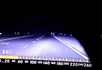 Công nghệ Camera hồng ngoại nhìn đêm của BOSCH tích hợp cho Mercedes-Benz S-Class